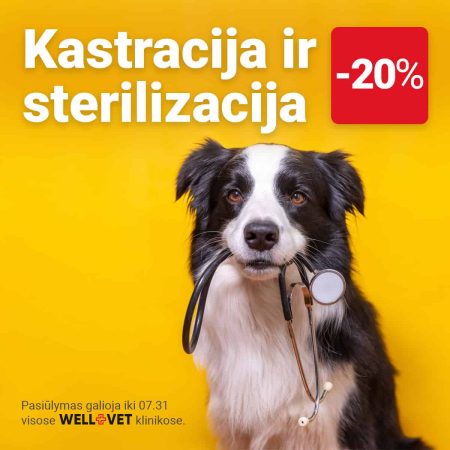 wv-sterilizacija_1200x1200